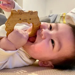 シーサーはがため